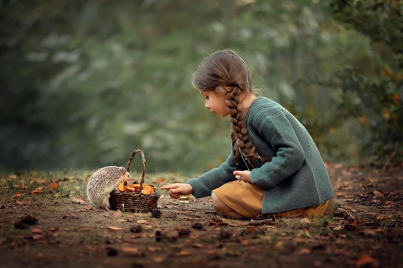 ёжик лес грибы девочка лесная история Дружбаphoto preview