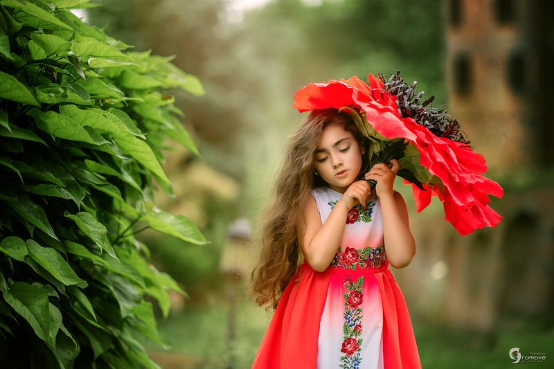 девочка, цветок, лето, сказка Аленький цветочек фото превью