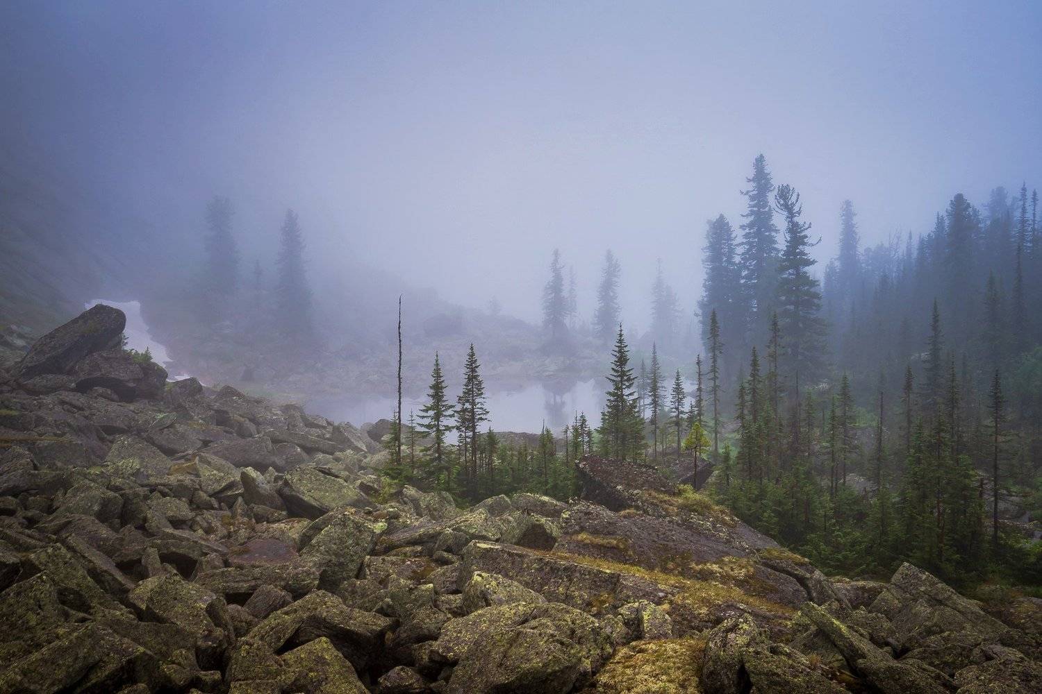 туман, ергаки, утро, горы, тайга, озеро, таежный глаз, курумник, Сергей Межин