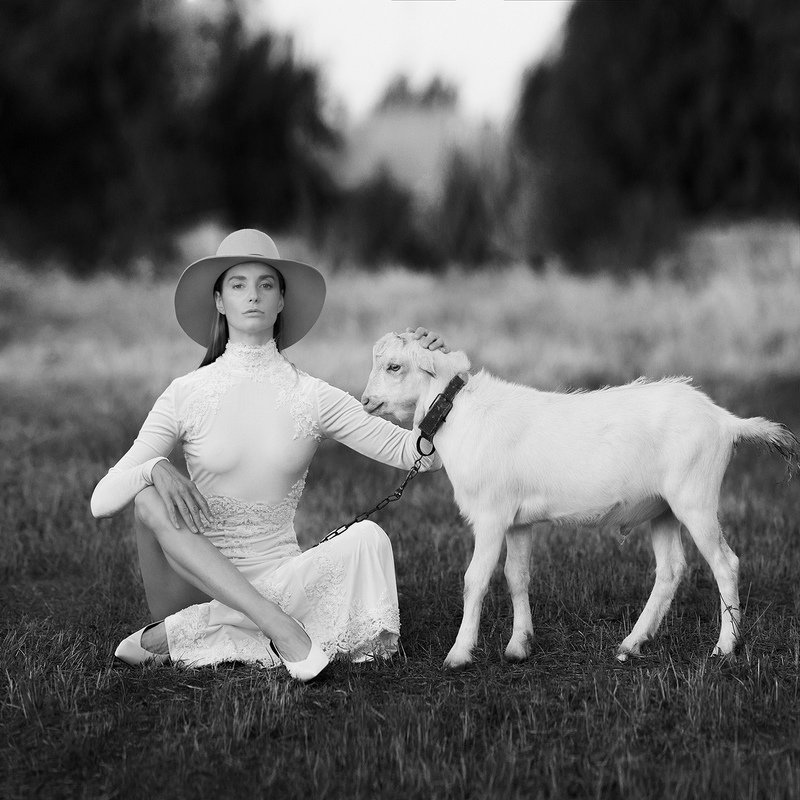 Potapov.storephoto preview