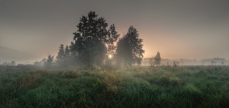 У границы лесаphoto preview