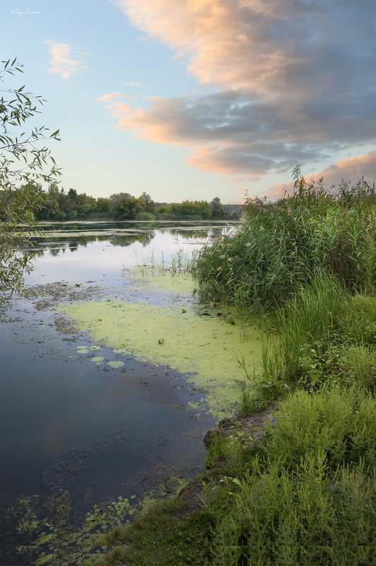 бабье лето,берег,закат,лес,лето,облака,пейзаж,река Вечер у реки ...photo preview