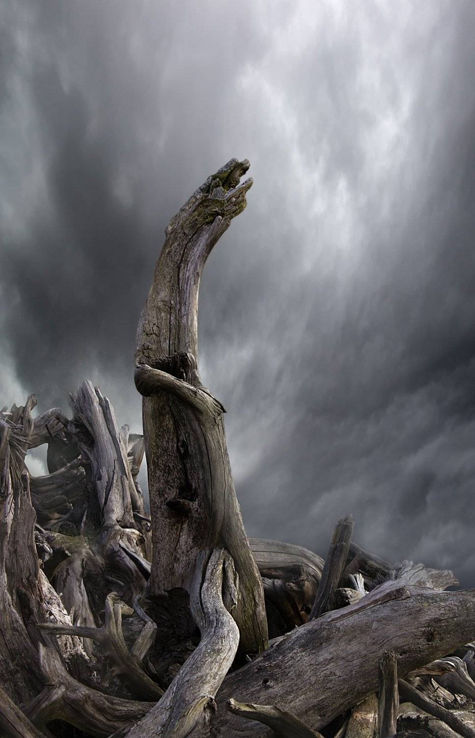 Крик . Автор: Ansis Zegners , Ansis Zegners