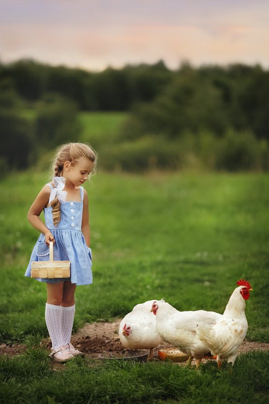 У бабушкиphoto preview