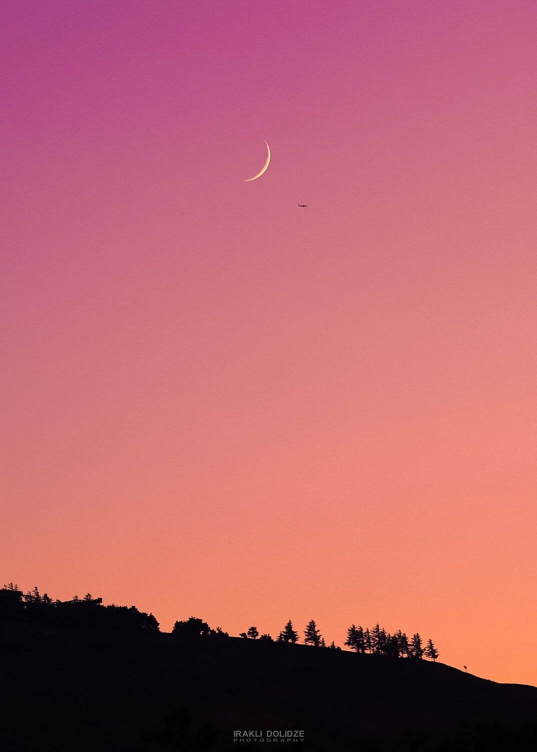 moon, plane, landscape, sunset, trees, violet, color,, ირაკლი დოლიძე