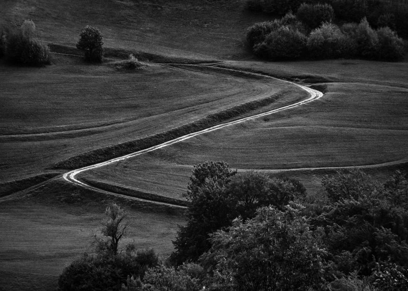 landscape,b&w,nature,field,rural,trees,shadows,agriculture,meadow Via Sphoto preview