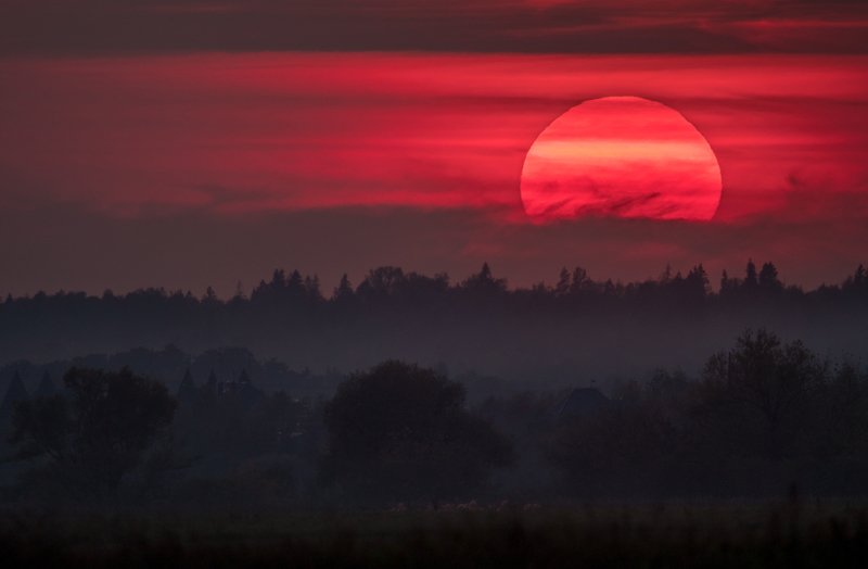 сумерки, закат, солнце, розовое солнце, розовый, московская область, одинцовский район, закат, солнечный вечер, розовый закат, атмосферный закат, sigma 150-600, облака, даль, лес, солнце на 600 мм Погружение в сумеркиphoto preview