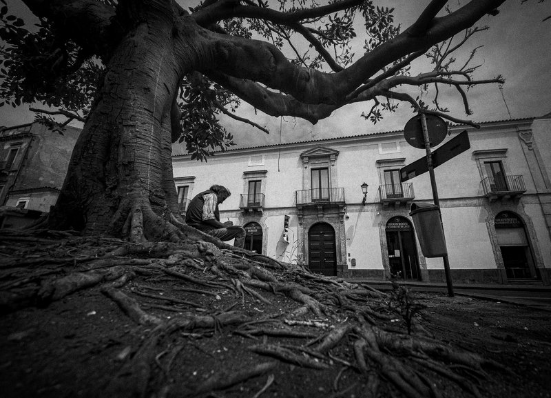 ...Лукоморье...photo preview