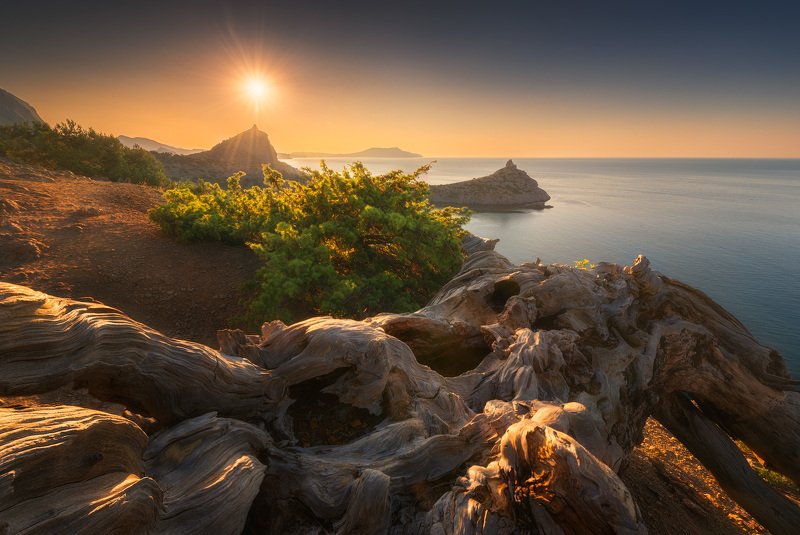 крым, осенний крым, осень, осень в крыму, фототур в крым, туры по крыму, фототур по россии, отдых в крыму,  отпуск в крыму, путешествия, туризм, природа, золотая осень, пейзаж, буковый лес, лес Солнечное прикосновениеphoto preview