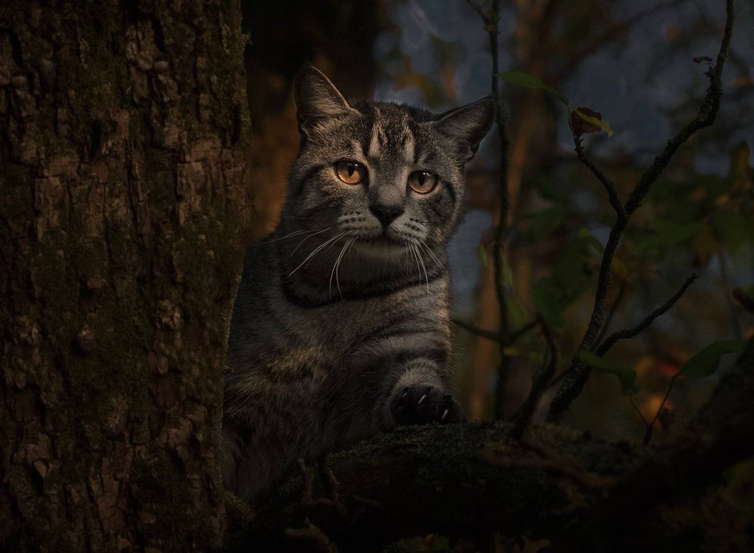 , Баранов Олег