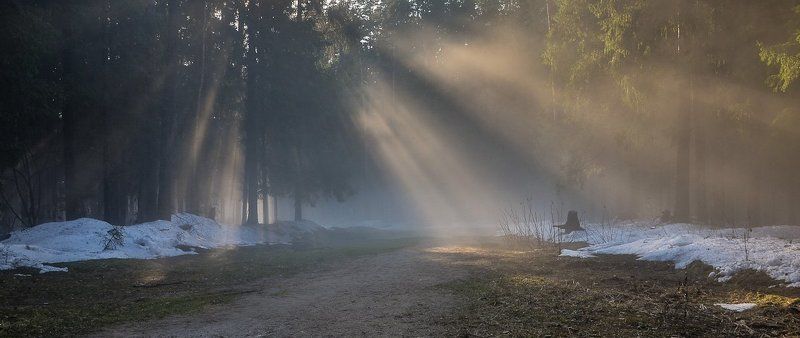 Весенний туман фото превью