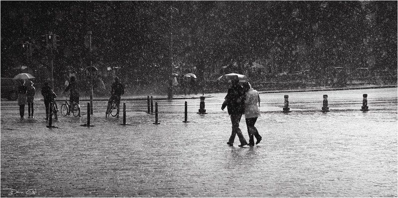 финляндия, летний, дождь, солнце, зонтики, люди Sunny Rainphoto preview