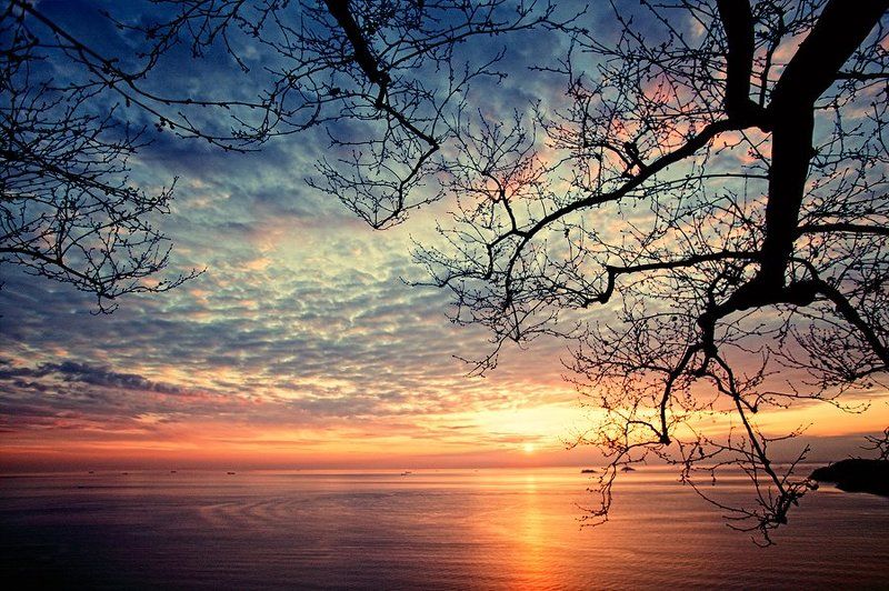 When the Sky is Like Lacephoto preview