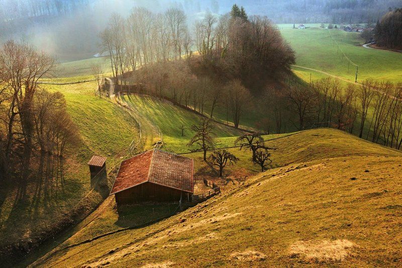 swiss,швейцария,gruyère Утро в Альпахphoto preview
