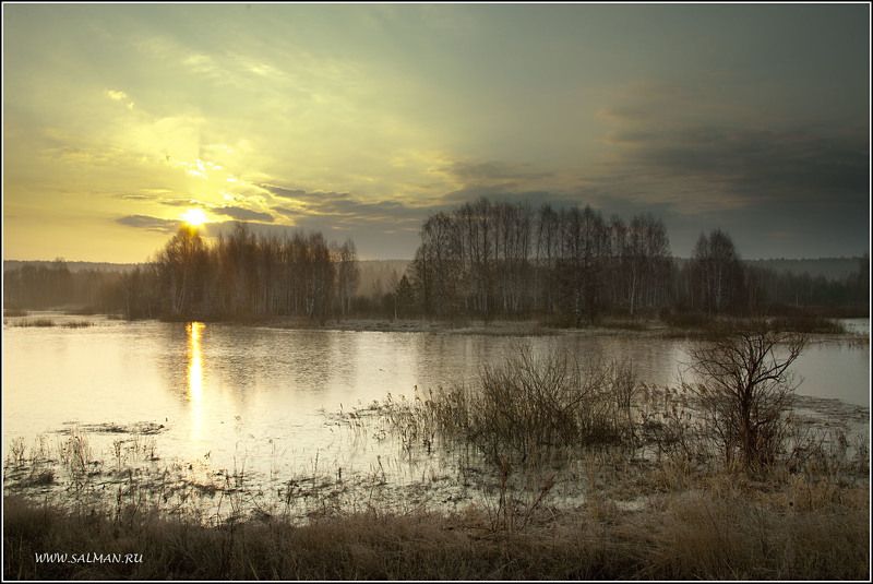 весна,пейзаж,утро,паводок,деревья,вода,мальцево,палитра, ВЕСНА !!!photo preview