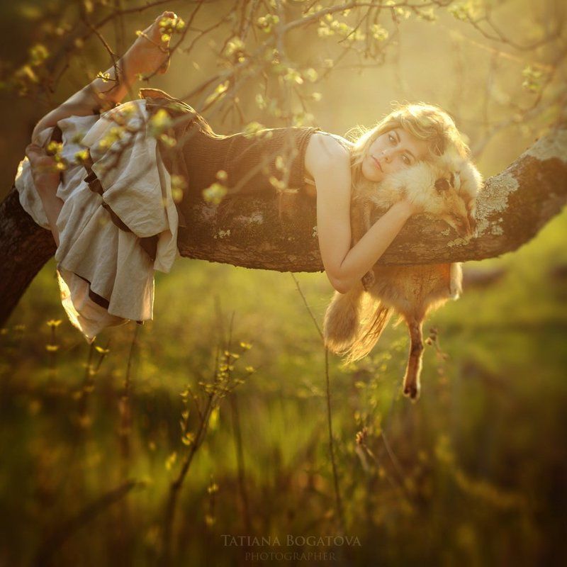 закат, лиса, девушка, лес Лисьи сныphoto preview