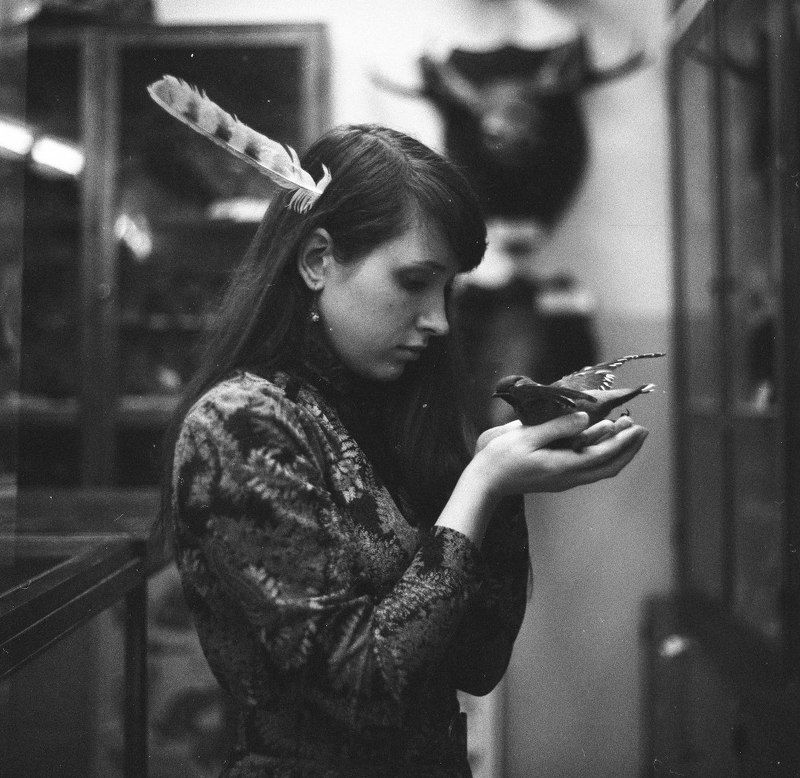 птицыphoto preview