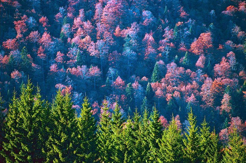 карпати photo preview