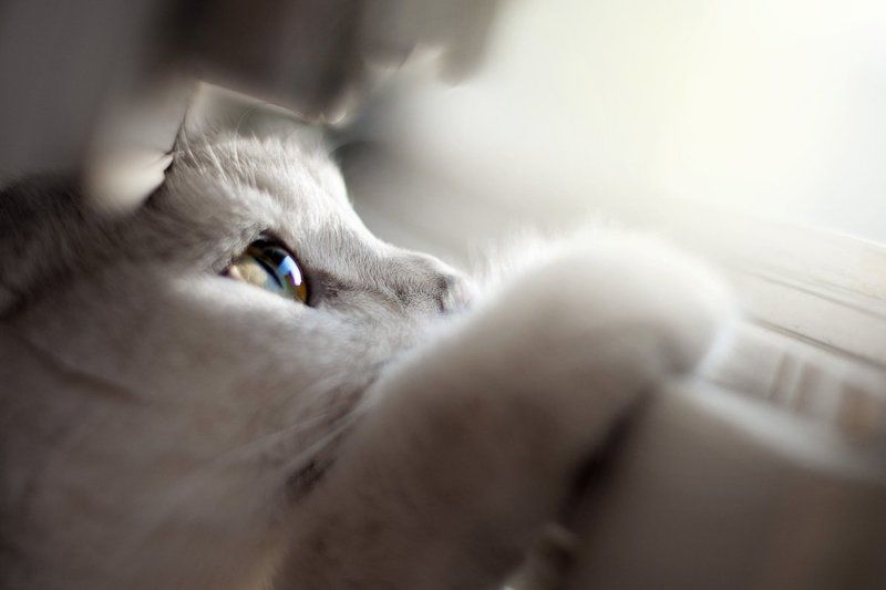 А за окном весна!photo preview