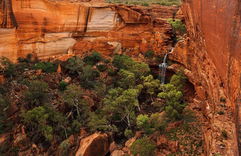 Kings Canyonphoto preview