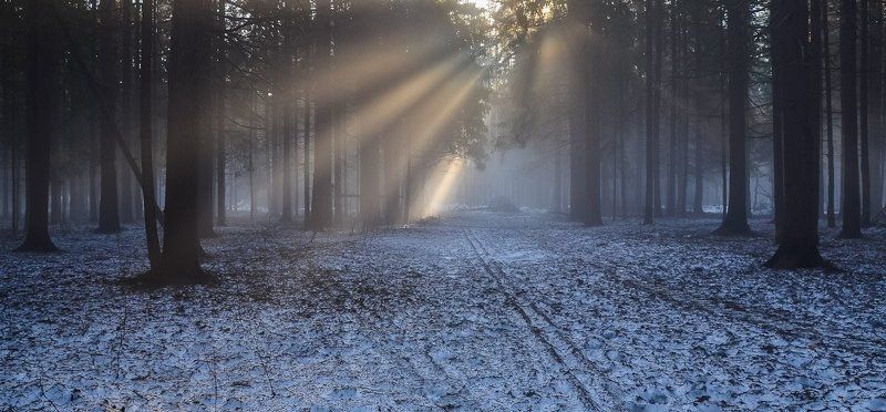 Симфония света фото превью