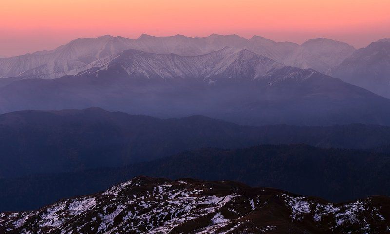 АДЕЛАИДА фото превью
