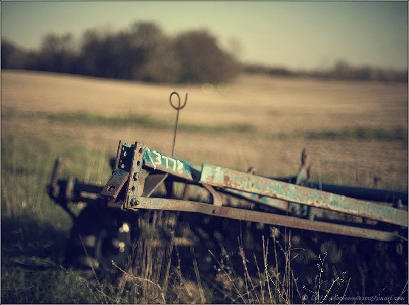 Depth of field...photo preview