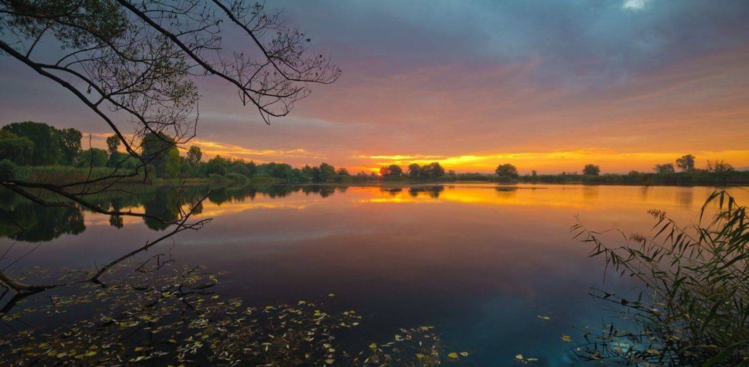 , Philip Peynerdjiev