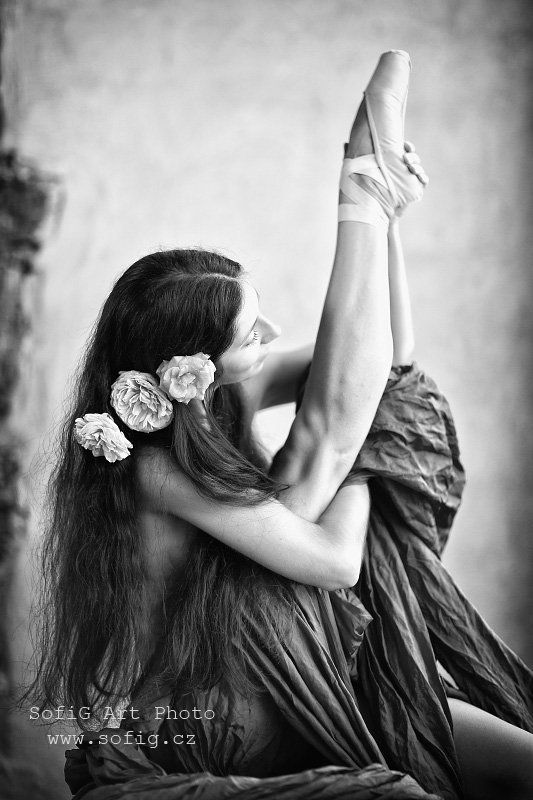 ballet, balet, tanec, dance, sofig ...photo preview