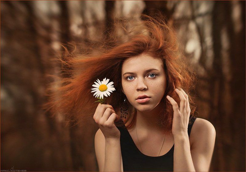 девочка, ромашка, ветер Девочка с ромашкойphoto preview