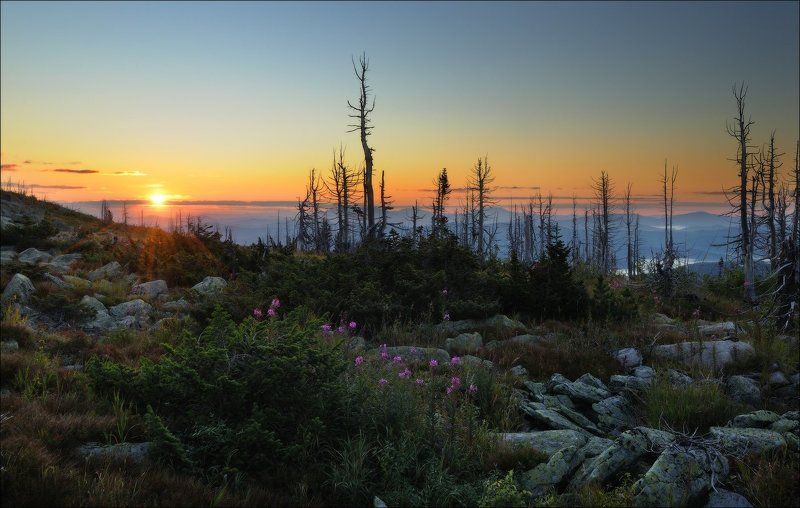 утро, солнце, шерегеш УТРОphoto preview