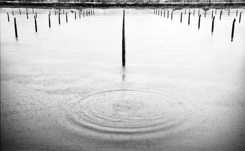 ...дождь...photo preview