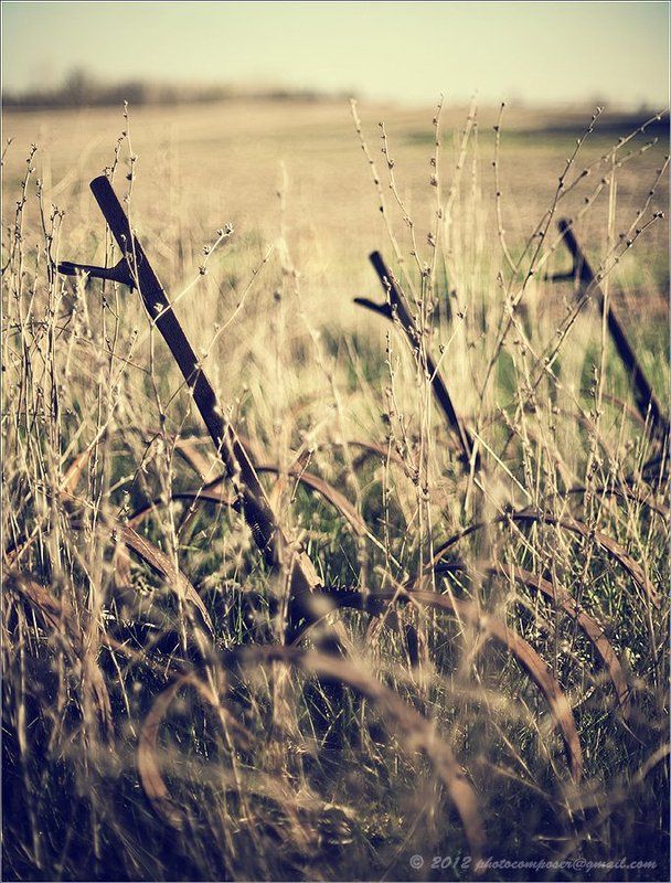 Grips...photo preview