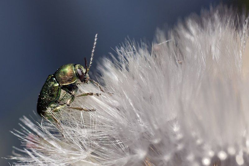 Восхождение...photo preview