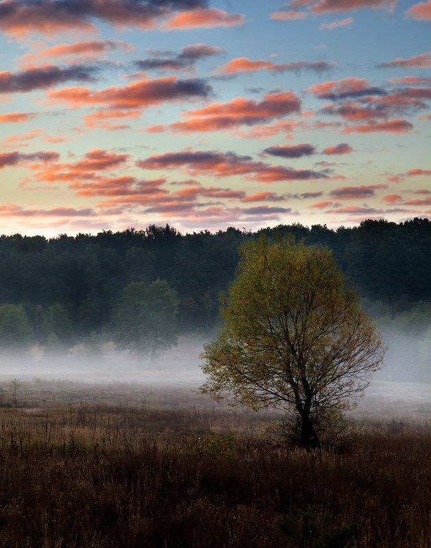 О неумении придумывать длинные названия и поздравления и посему названная просто \