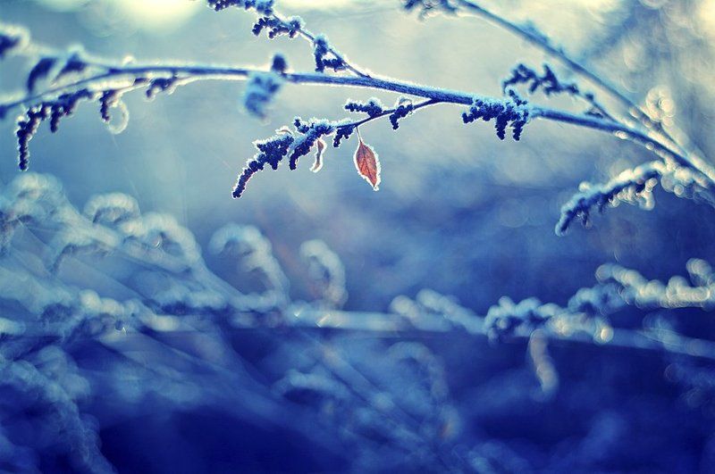 Воздухphoto preview