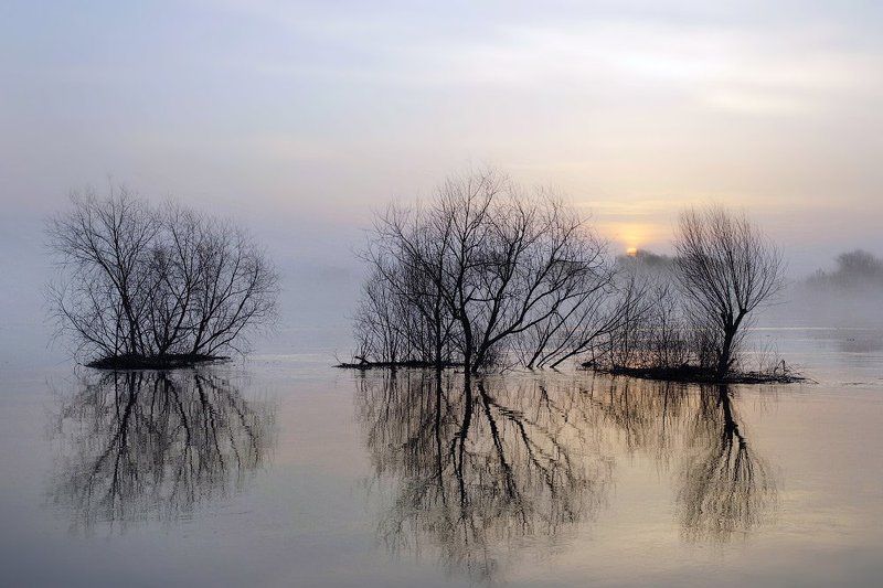 половодье, паводок, разлив, весна Большая водаphoto preview