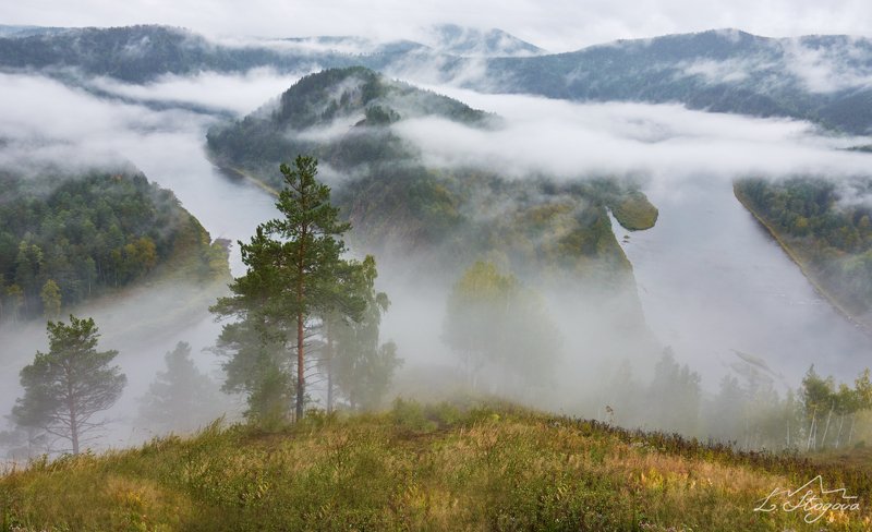 мана, туман, река Дождливое утроphoto preview