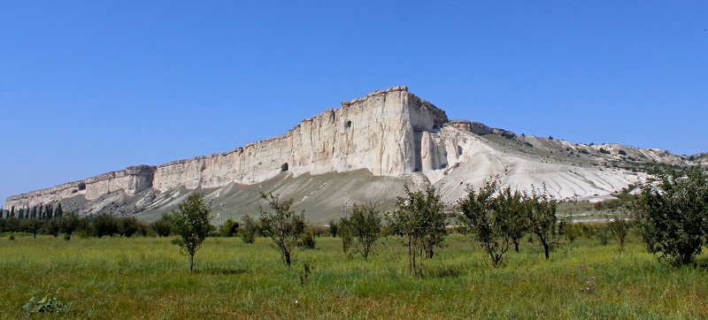 трава,свет,лес,деревья,облака,ветки,цветы,поле,небо ***photo preview