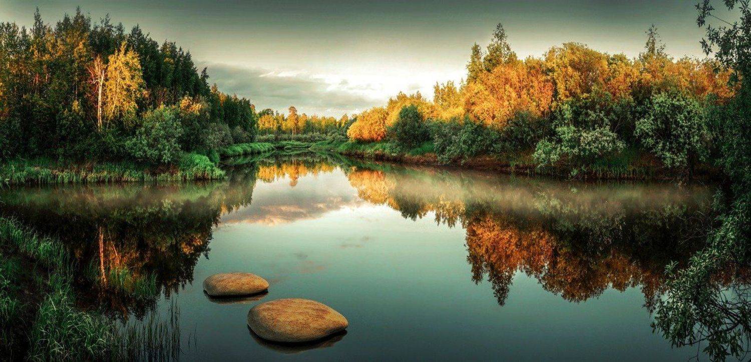 Летний туман на севере. Автор: Руслан Джамалов , Руслан Джамалов