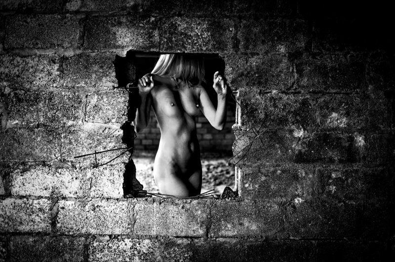 женщина, девушка, ню, черно-белое Окноphoto preview