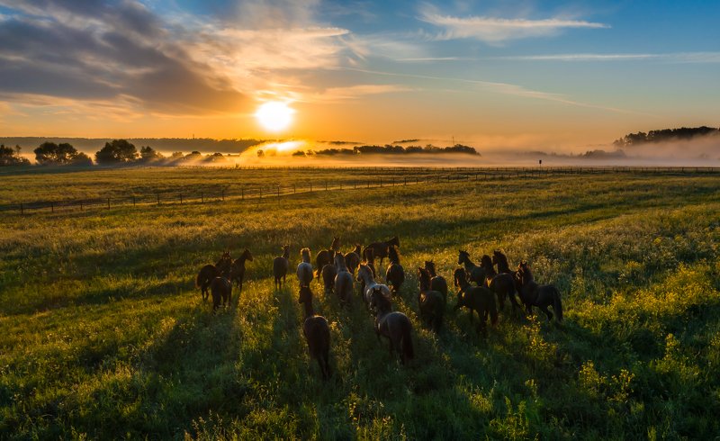 Вперед к рассвету!photo preview