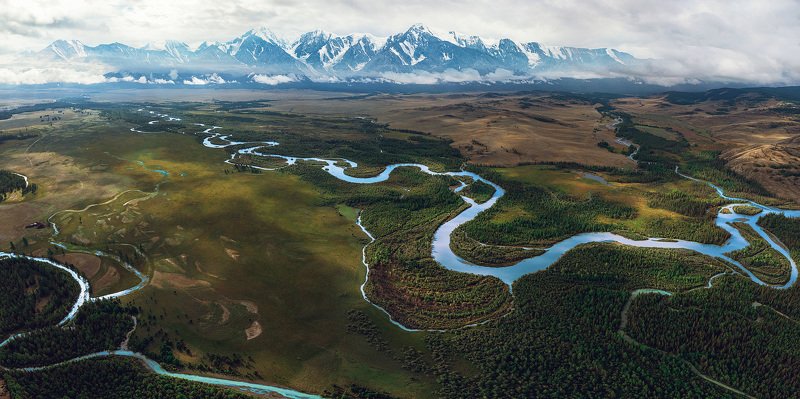 курай, алтай, горныйалтай Курайская степьphoto preview