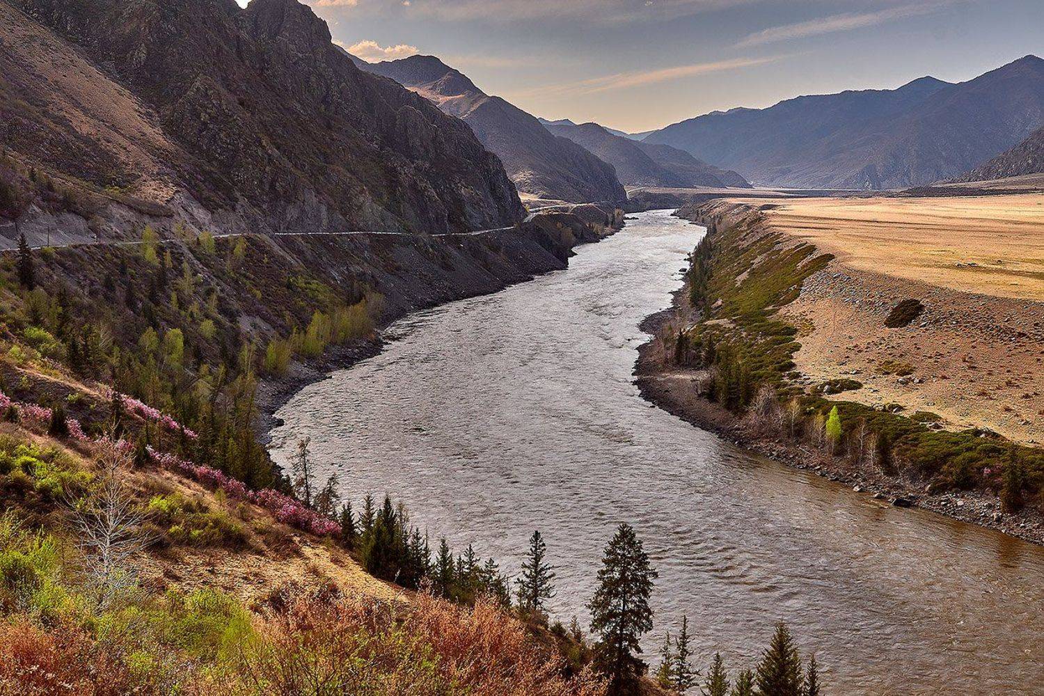 Весна на Алтае!. Автор: Качурин Алексей , Качурин Алексей