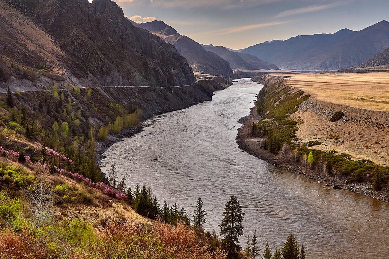 Весна на Алтае!photo preview