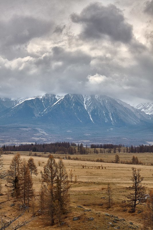 алтай, ледник актру, актру, алтайский край, долина, весна,осень, лиственницы, ледник,ледники В облаках!photo preview