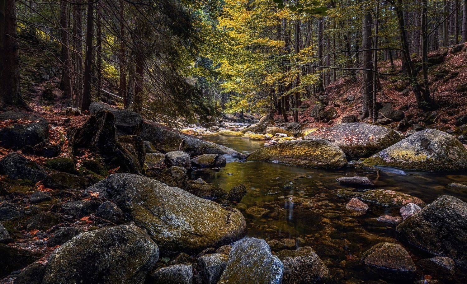 лето река вода водоём камни отражения лес деревья листва водопад пейзаж природа путешествия, Андрей Ожерельев