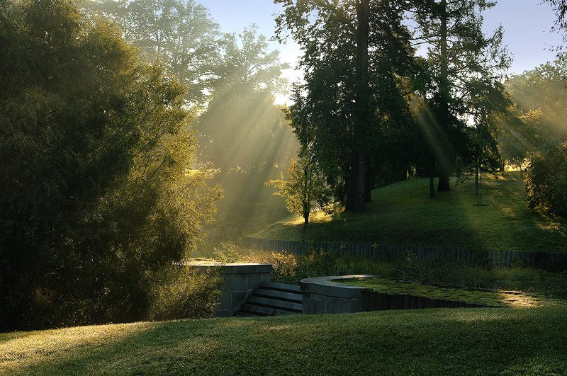 парк Утро в парке Царицыноphoto preview