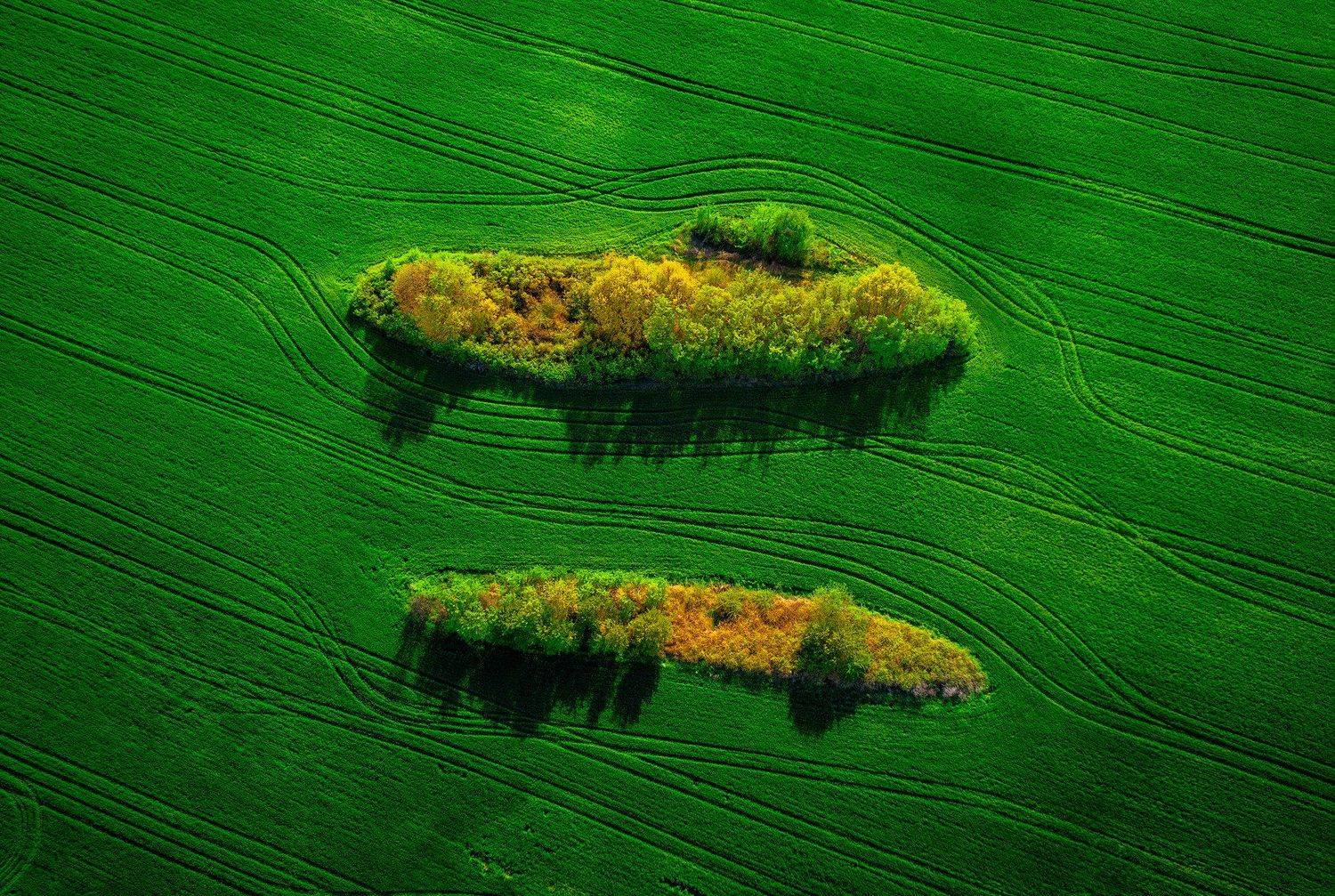 Twins. Автор: Тодор Божков , Тодор Божков