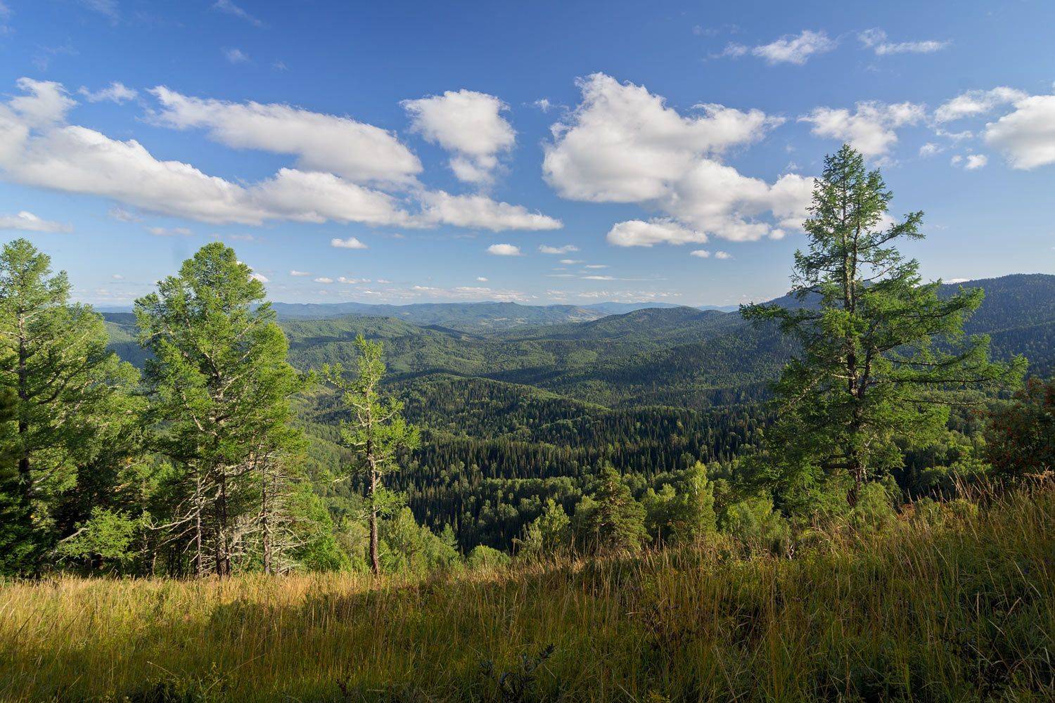 алтай, белокуриха, горы, воздух, алтайский край, гора крестик, белокуриха-2, чергинский хребет, Джазатор